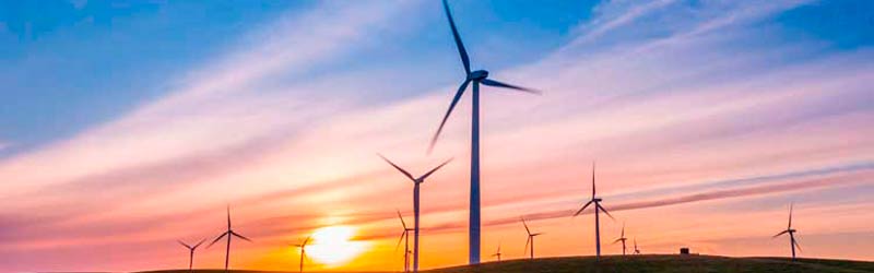 Miljø og bæredygtighed Miljø og bæredygtighed