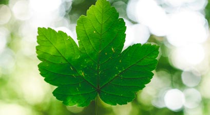 ISO 14001 Miljøledelse ISO 14001 Miljøledelse