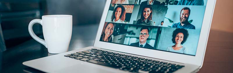 Webinar og temamøder Webinar og temamøder